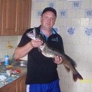 ���������� ������, ���� ������� ������, 48 ���, ������������ ��� ������, ����� � ���������, c�������� ���������