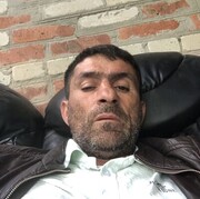  --,   , 48 ,   ,   