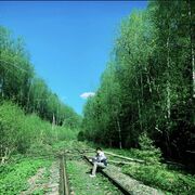 ���������� ������, ���� ������� ���������, 26 ���, ������������ ��� ������, ����� � ���������