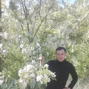  ,   , 46 ,   