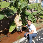 ���������� ����������, ���� ������� ���������, 38 ���, ������������ ��� ������, ����� � ���������, c�������� ���������