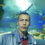  -,   , 41 ,   ,   , c 