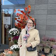 ���������� �����, ���� ������� ������, 66 ���, ������������ ��� ����� � ���������, c�������� ���������