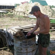  ,   , 41 ,   