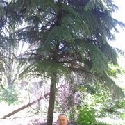  ,   Alex, 64 ,     , c 