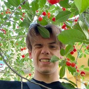 ���������� ������, ���� ����� ����, 23 ����, ������������ ��� ������