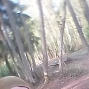 ���������� �������, ���� ������� ����, 29 ���, ������������ ��� ������, ����� � ���������, c�������� ���������