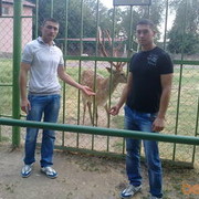  ,   Zuxriddin, 36 ,   ,   , c , 