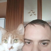  ,   , 38 ,     , c 