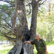  ,   , 74 ,   