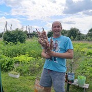 ���������� ������, ���� ������� ���������, 43 ����, ������������ ��� ������, ����� � ���������, c�������� ���������, ���������