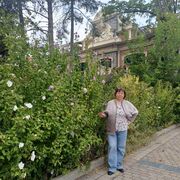 ���������� ���������, ���� ������� �������, 54 ����, ������������ ��� c�������� ���������