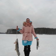  ,   , 55 ,  