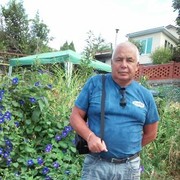  ,   , 71 ,  