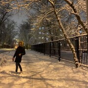 ���������� ������, ���� ������� ������, 29 ���, ������������ ��� ������, ����� � ���������