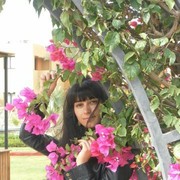 ���������� ������, ���� ������� ��������, 37 ���, ������������ ��� ������, ����� � ���������, c�������� ���������