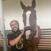 ���������� ������, ���� ������� ����, 33 ����, ������������ ��� ������, ����� � ���������, c�������� ���������