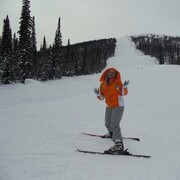 ���������� �����������, ���� ������� ���������, 40 ���, ������������ ��� ������, ����� � ���������