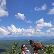 ���������� �����-���������, ���� ������� �����, 48 ���, ������������ ��� ������, ����� � ���������