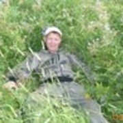  ,   , 43 ,   