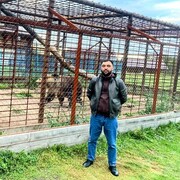 ���������� �����������, ���� ������� ������, 31 ���, ������������ ��� ������, ����� � ���������, c�������� ���������, ���������