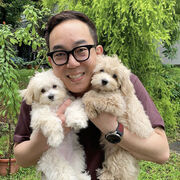  ,   Wang, 50 ,   ,   