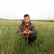 ���������� ���������, ���� ������� �������, 29 ���, ������������ ��� ����� � ���������, c�������� ���������