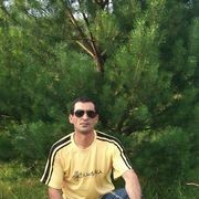  Nuernberg,   MISHKA, 48 ,     , c 