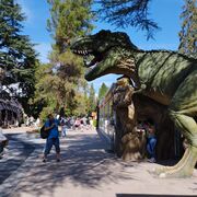 ���������� ������, ���� ������� ������, 45 ���, ������������ ��� ����� � ���������, c�������� ���������