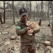 ���������� ����, ���� ����� ����, 20 ���, ������������ ��� ������, ����� � ���������