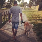 ���������� ���������, ���� ������� ������, 36 ���, ������������ ��� ������, ����� � ���������, c�������� ���������, ���������