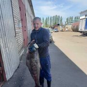 ���������� �������, ���� ������� ��������, 39 ���, ������������ ��� ������, ���������