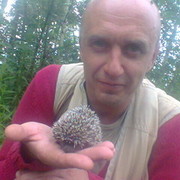 ���������� �����, ���� ������� ������, 48 ���, ������������ ��� ������, ����� � ���������, c�������� ���������