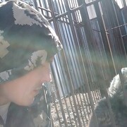 ���������� �����-���������, ���� ������� ���, 40 ���, ������������ ��� ������, ����� � ���������, c�������� ���������, ���������