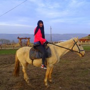  ,   , 40 ,   ,   , c 