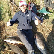 ���������� ��������, ������� Nikolia, 44