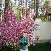  ,   , 34 ,   