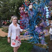 ���������� ����, ���� ������� �������, 55 ���, ������������ 