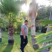 ���������� ����������, ���� ������� ����, 43 ����, ������������ ��� ������, ����� � ���������, c�������� ���������