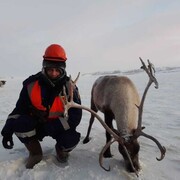 ���������� ���������, ���� ������� ������, 39 ���, ������������ ��� ������, ����� � ���������, c�������� ���������, ���������