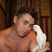 ���������� ���������, ���� ������� ����, 43 ����, ������������ ��� ����� � ���������, c�������� ���������, ���������