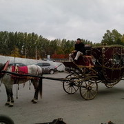 ���������� ��������, ���� ������� Maksimus, 53 ����, ������������ ��� ����� � ���������, c�������� ���������