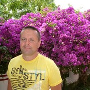  ,   , 50 ,     , c 