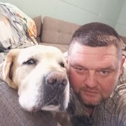 ���������� ����������, ���� ������� �������, 45 ���, ������������ ��� c�������� ���������