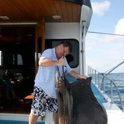  ,   , 46 ,   