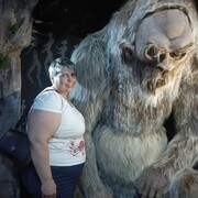 ���������� ��������, ���� ������� �������, 53 ����, ������������ ��� c�������� ���������, ���������