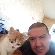 ���������� ����������, ���� ������� �������, 44 ����, ������������ ��� ������, ����� � ���������, c�������� ���������, ���������