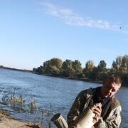 ���������� ���������, ���� ������� ����, 31 ���, ������������ ��� ������, ����� � ���������