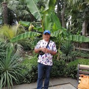  ,   , 46 ,   ,   
