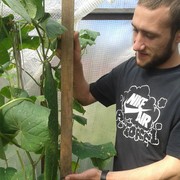 ���������� ����, ���� ������� ����, 32 ����, ������������ ��� ������, ����� � ���������, c�������� ���������, ���������